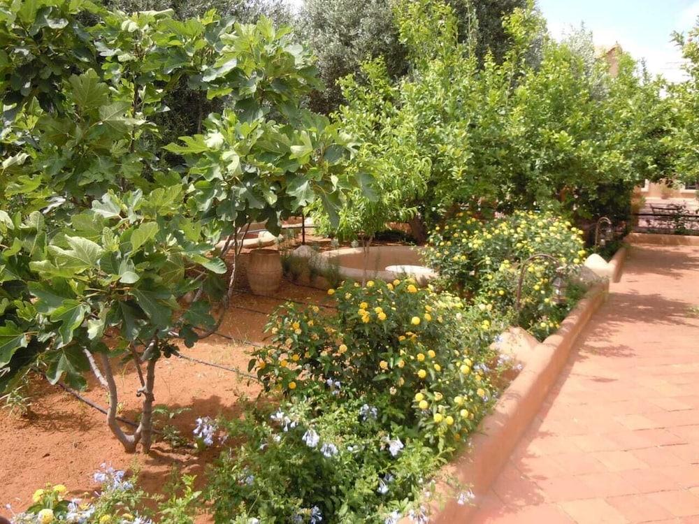 Riad Jnane Ines 타라우단트 외부 사진
