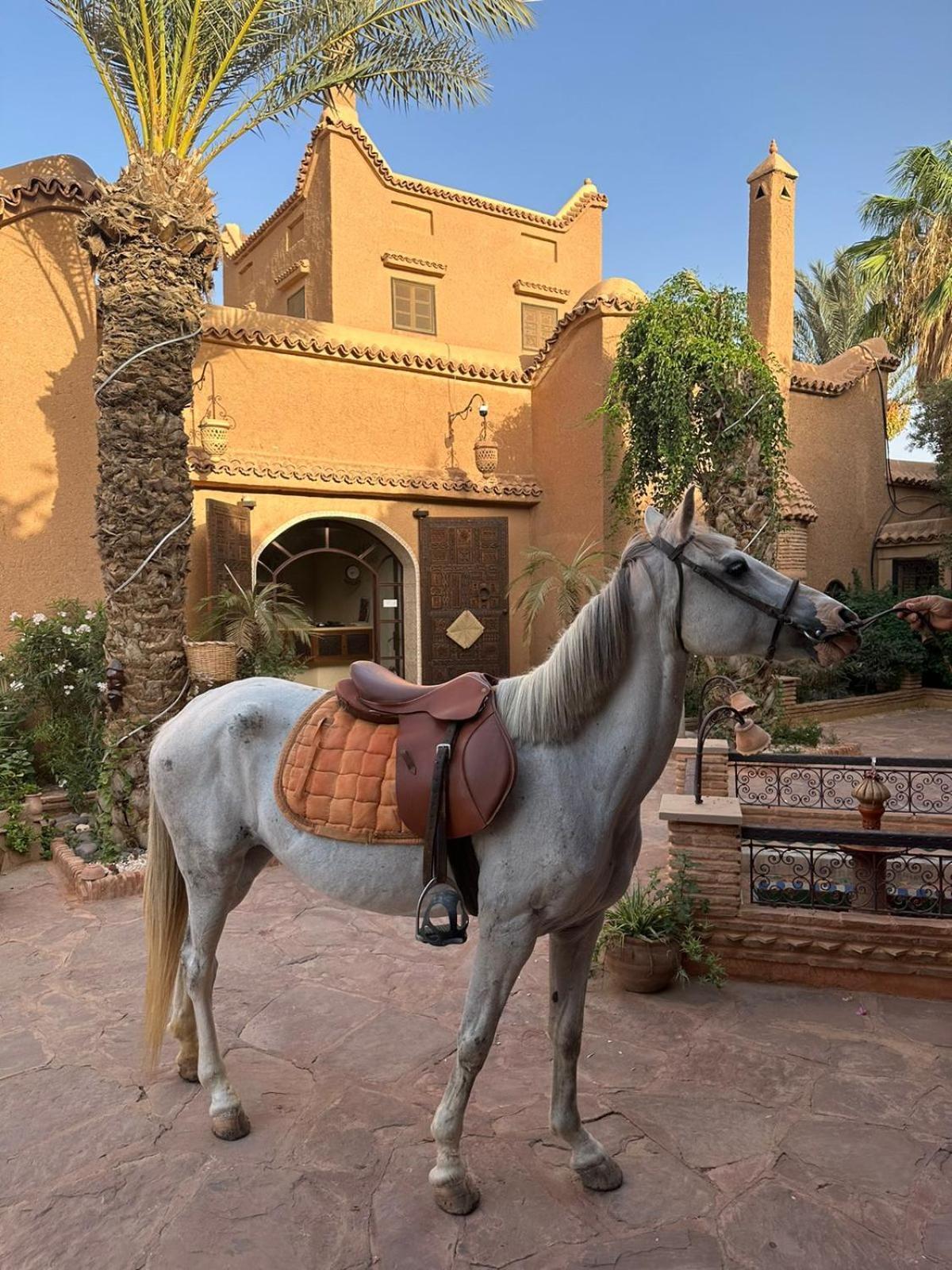 Riad Jnane Ines 타라우단트 외부 사진