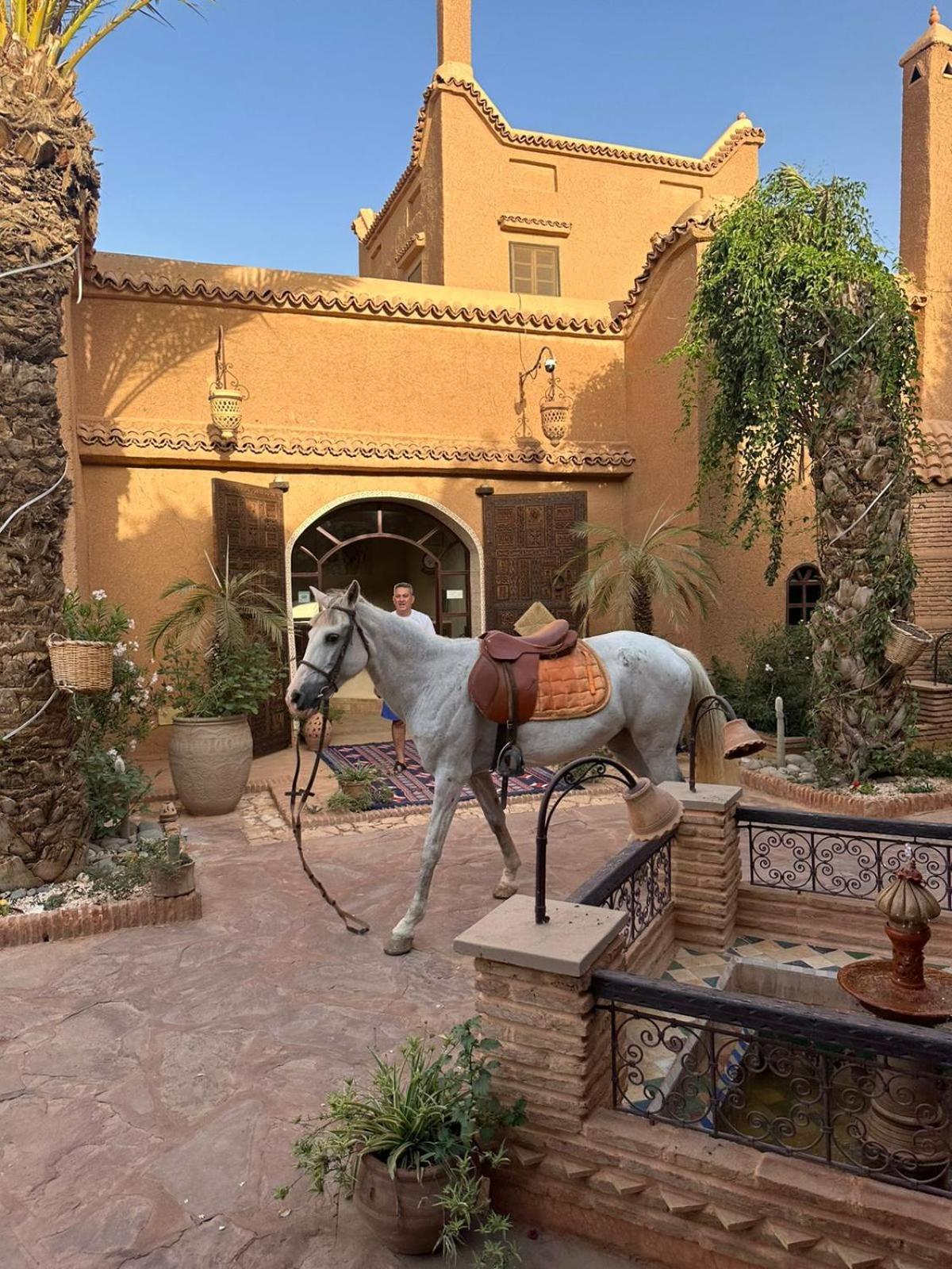 Riad Jnane Ines 타라우단트 외부 사진