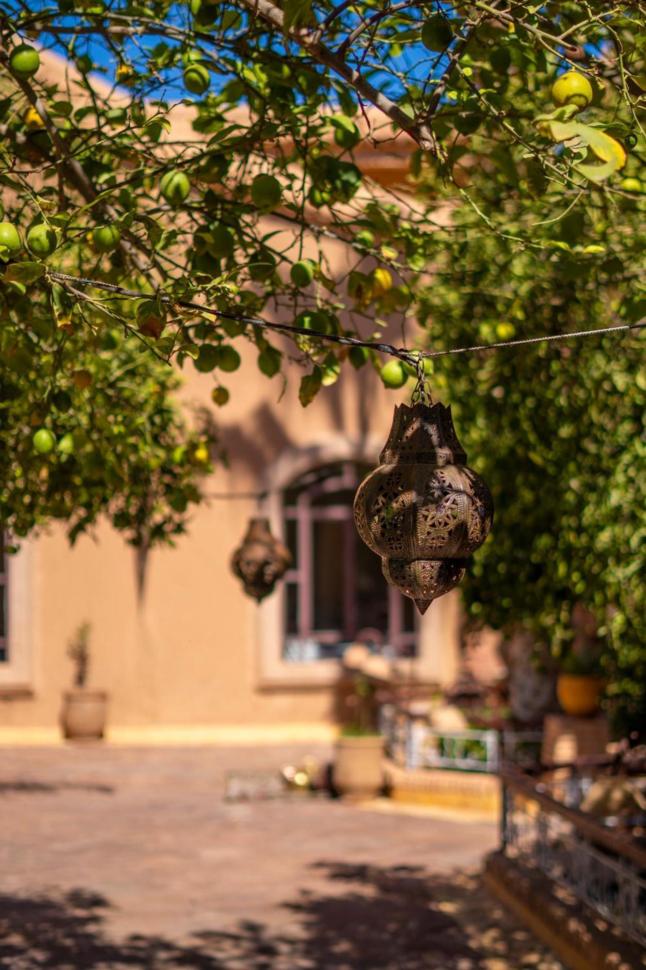 Riad Jnane Ines 타라우단트 외부 사진